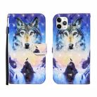 For iPhone 12 / 12 Pro 3D Painted Pattern Horizontal Flip Leather Case with Holder & Wallet & Card slot & Lanyard(Sunrise Wolf) - 1
