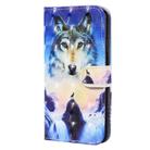 For iPhone 12 / 12 Pro 3D Painted Pattern Horizontal Flip Leather Case with Holder & Wallet & Card slot & Lanyard(Sunrise Wolf) - 3
