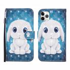 For iPhone 12 / 12 Pro 3D Painted Pattern Horizontal Flip Leather Case with Holder & Wallet & Card slot & Lanyard(Rabbit) - 1