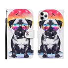 For iPhone 12 Pro Max 3D Painted Pattern Horizontal Flip Leather Case with Holder & Wallet & Card slot & Lanyard(Glasses Dog) - 1