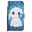 For iPhone 12 Pro Max 3D Painted Pattern Horizontal Flip Leather Case with Holder & Wallet & Card slot & Lanyard(Rabbit) - 2