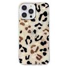 For iPhone 16 Pro Max Colorful Painting Pattern TPU Phone Case(Leopard) - 2