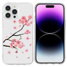 For iPhone 16 Pro Max Colorful Painting Pattern TPU Phone Case(Plum Blossom) - 1