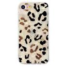 For iPhone SE 2022 / 2020 / 8 / 7 Colorful Painting Pattern TPU Phone Case(Leopard) - 2