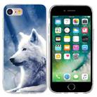 For iPhone SE 2022 / 2020 / 8 / 7 Colorful Painting Pattern TPU Phone Case(White Wolf) - 1