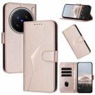 For vivo X200 Pro Triangle Pattern Buckle Clasp Leather Phone Case(Rose Gold) - 1