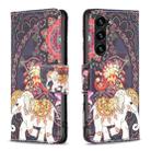 For Samsung Galaxy S25+ 5G Colored Drawing Pattern Leather Phone Case(Flowers Elephant) - 1