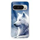 For Google Pixel 9 Colorful Painting Pattern TPU Phone Case(White Wolf) - 2