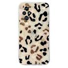 For Honor 200 Colorful Painting Pattern TPU Phone Case(Leopard) - 2