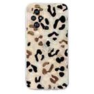 For Honor 200 Pro Colorful Painting Pattern TPU Phone Case(Leopard) - 2