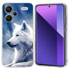 For Redmi Note 13 Pro+ 5G Colorful Painting Pattern TPU Phone Case(White Wolf) - 1