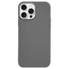 For iPhone 16 Pro Max Litchi Pattern Silver Edge Camera Frame Material Phone Case(Grey) - 1