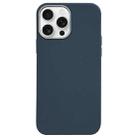 For iPhone 16 Pro Max Litchi Pattern Silver Edge Camera Frame Material Phone Case(Blue) - 1