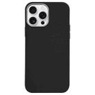 For iPhone 16 Pro Litchi Pattern Silver Edge Camera Frame Material Phone Case(Black) - 1