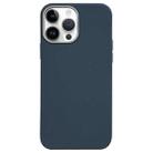 For iPhone 14 Pro Litchi Pattern Silver Edge Camera Frame Material Phone Case(Blue) - 1