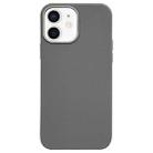 For iPhone 12 Litchi Pattern Silver Edge Camera Frame Material Phone Case(Grey) - 1