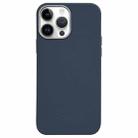 For iPhone 12 Pro Max Litchi Pattern Silver Edge Camera Frame Material Phone Case(Blue) - 1