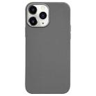 For iPhone 11 Pro Max Litchi Pattern Silver Edge Camera Frame Material Phone Case(Grey) - 1