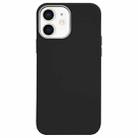 For iPhone 11 Litchi Pattern Silver Edge Camera Frame Material Phone Case(Black) - 1
