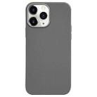 For iPhone 11 Pro Litchi Pattern Silver Edge Camera Frame Material Phone Case(Grey) - 1