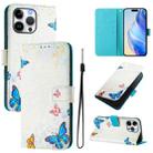 For iPhone 16 Pro Max Art Colored Drawing Pattern Leather Phone Case(Butterfly house) - 1