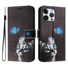 For iPhone 15 Pro Max Art Colored Drawing Pattern Leather Phone Case(Butterfly cat) - 2