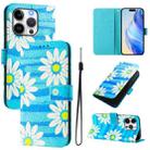 For iPhone 14 Pro Max Art Colored Drawing Pattern Leather Phone Case(Blue daisy) - 1