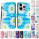 For iPhone 14 Pro Max Art Colored Drawing Pattern Leather Phone Case(Blue daisy) - 2