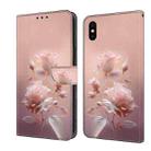 For iPhone XS Max Fresh Painted Leather Phone Case(Ceramic Flowers) - 1