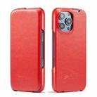 For iPhone 16 Pro Max Fierre Shann 64 Texture Vertical Flip PU Leather Phone Case(Red) - 1