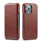 For iPhone 16 Pro Fierre Shann 64 Texture Vertical Flip PU Leather Phone Case(Brown) - 1