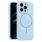 For iPhone 12 Pro Max Fine Hole Liquid Silicone MagSafe Phone Case(Blue) - 1