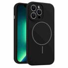 For iPhone 13 Pro Max Fine Hole Liquid Silicone MagSafe Phone Case(Black) - 1