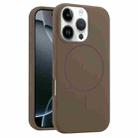 For iPhone 16 Pro Liquid Silicone MagSafe Phone Case(Brown) - 1