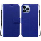 For iPhone 15 Pro Max Ultra-thin Voltage Magnetic Buckle Leather Phone Case(Blue) - 1