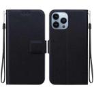 For iPhone 13 Pro Ultra-thin Voltage Magnetic Buckle Leather Phone Case(Black) - 1