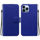 For iPhone 13 Pro Max Ultra-thin Voltage Magnetic Buckle Leather Phone Case(Blue) - 1