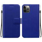 For iPhone 12 Pro Max Ultra-thin Voltage Magnetic Buckle Leather Phone Case(Blue) - 1