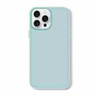 For iPhone 16 Pro Max Skin Feeling Jelly Series TPU + PC Full Coverage Phone Case(Light Green) - 1