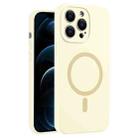 For iPhone 12 Pro Max Fine Hole Pure Color Liquid Silicone MagSafe Phone Case(Antique White) - 1