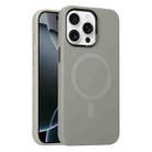 For iPhone 16 Pro Max Metal Lens Frame Liquid Silicone MagSafe Phone Case(Natural Titanium) - 1