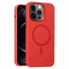 For iPhone 12 Pro Metal Lens Frame Liquid Silicone MagSafe Phone Case(Red) - 1