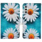 For Samsung Galaxy S25 5G Colored Drawing Pattern Leather Phone Case(Daisy) - 1