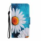 For Samsung Galaxy S25 5G Colored Drawing Pattern Leather Phone Case(Chrysanthemum) - 2