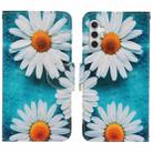 For Samsung Galaxy S25+ 5G Colored Drawing Pattern Leather Phone Case(Daisy) - 1