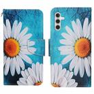 For Samsung Galaxy A16 5G / 4G Colored Drawing Pattern Leather Phone Case(Chrysanthemum) - 1