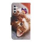 For Samsung Galaxy A16 5G / 4G Colored Drawing Pattern Leather Phone Case(Butterfly Cat) - 3