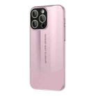 For iPhone 15 Pro Max Vegetarian Leather Series Skin Feel Full Coverage Phone Case(Pink) - 1