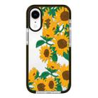 For iPhone XR Simple Illustration Pattern Full Coverage Phone Case(Sunflowers B) - 1