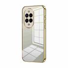 For Huawei Nova 13 Pro Transparent Plating Fine Hole Phone Case(Gold) - 1